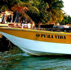 Pura Vida